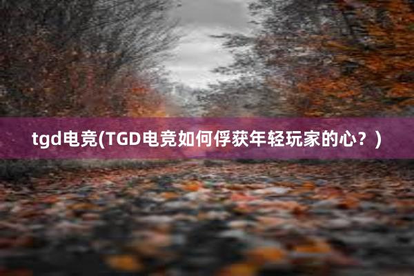 tgd电竞(TGD电竞如何俘获年轻玩家的心？)