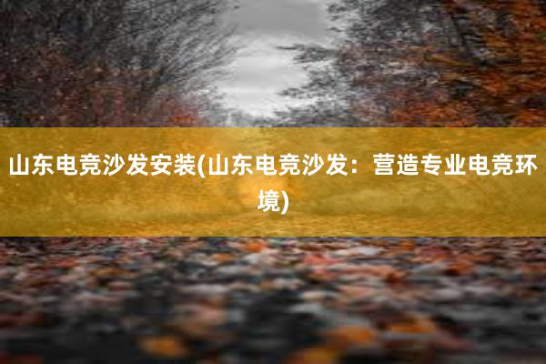 山东电竞沙发安装(山东电竞沙发：营造专业电竞环境)