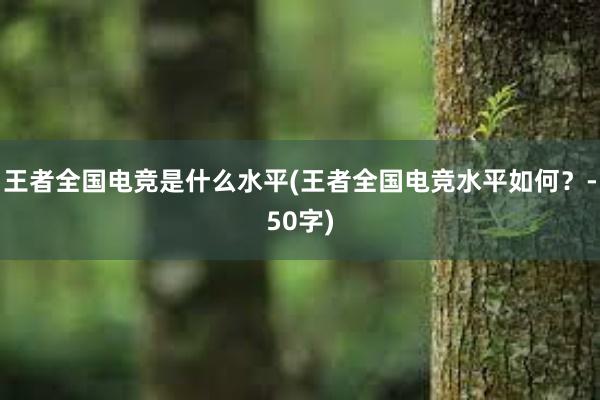 王者全国电竞是什么水平(王者全国电竞水平如何？-50字)