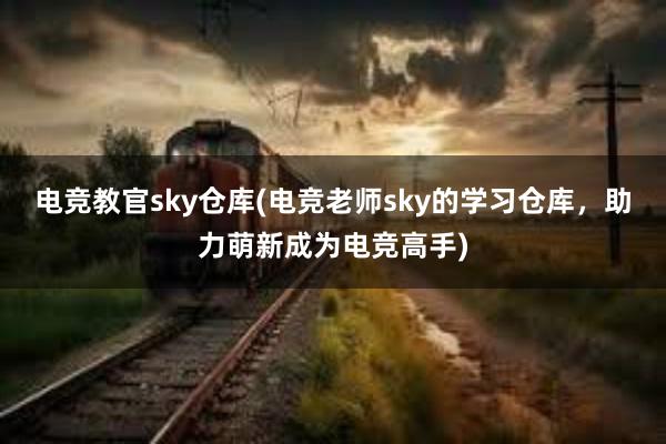 电竞教官sky仓库(电竞老师sky的学习仓库，助力萌新成为电竞高手)