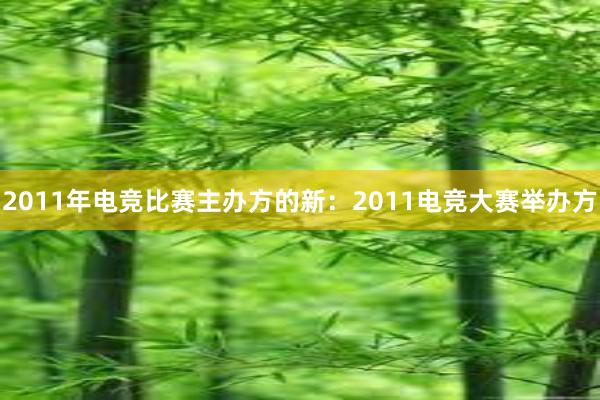 2011年电竞比赛主办方的新：2011电竞大赛举办方