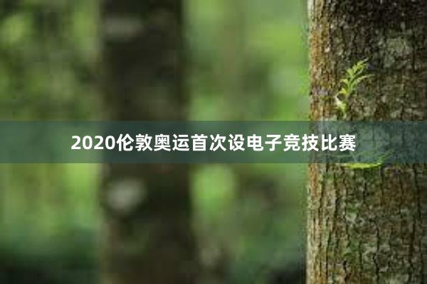 2020伦敦奥运首次设电子竞技比赛