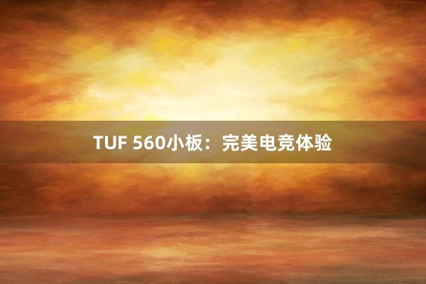 TUF 560小板：完美电竞体验