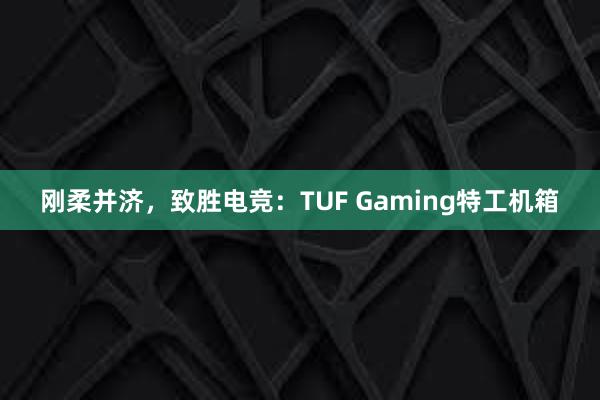 刚柔并济，致胜电竞：TUF Gaming特工机箱