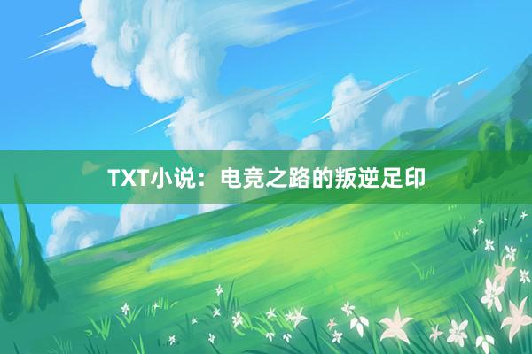 TXT小说：电竞之路的叛逆足印