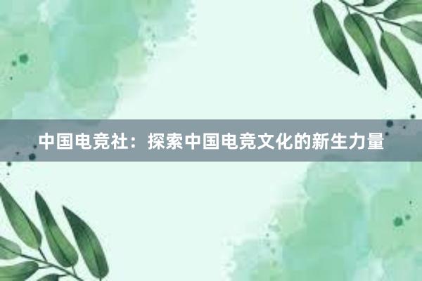 中国电竞社：探索中国电竞文化的新生力量