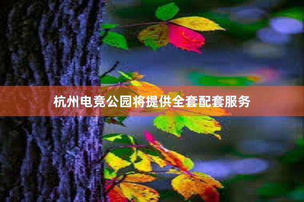 杭州电竞公园将提供全套配套服务