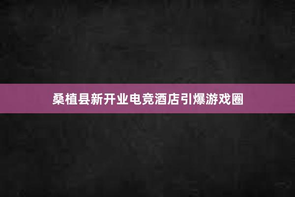 桑植县新开业电竞酒店引爆游戏圈