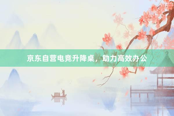 京东自营电竞升降桌，助力高效办公