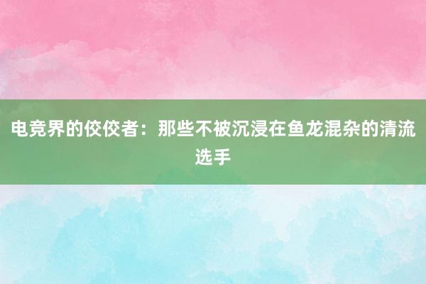 电竞界的佼佼者：那些不被沉浸在鱼龙混杂的清流选手