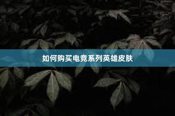 如何购买电竞系列英雄皮肤