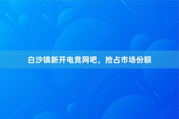 白沙镇新开电竞网吧，抢占市场份额