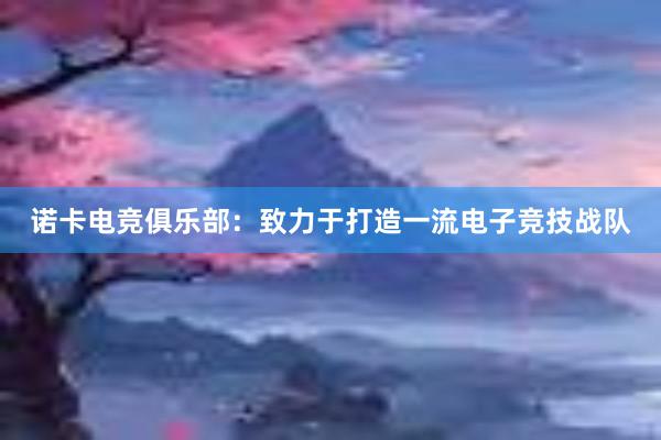 诺卡电竞俱乐部：致力于打造一流电子竞技战队